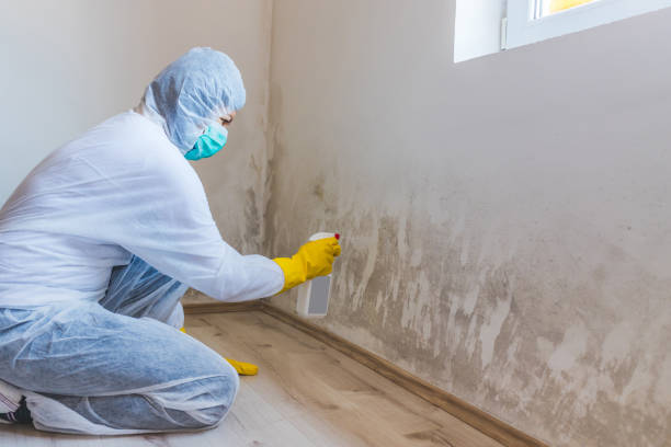 Licensed Bathroom Mold Removal service in Oak Hall, VA - WQB Mold Removal