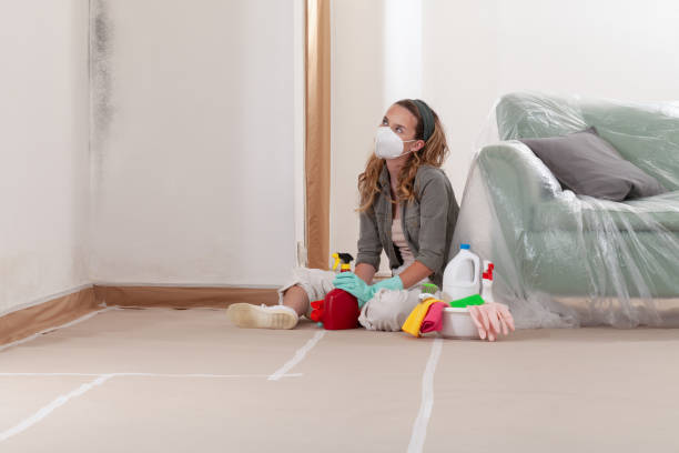 Reliable Bathroom Mold Removal contractor in Oak Hall, VA by WQB Mold Removal